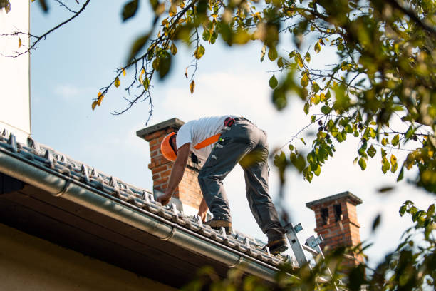 Best Solar Panel Roofing Installation  in Chester, WV