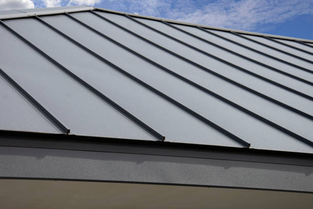 Best Skylight Installation and Repair  in Chester, WV